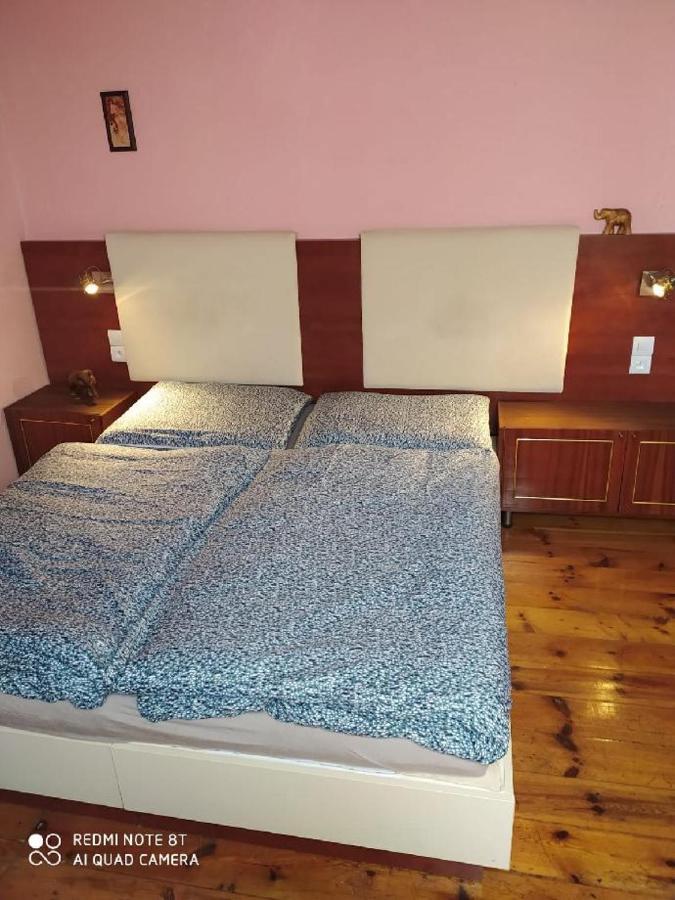 Penzion U Lipy Decin Buitenkant foto