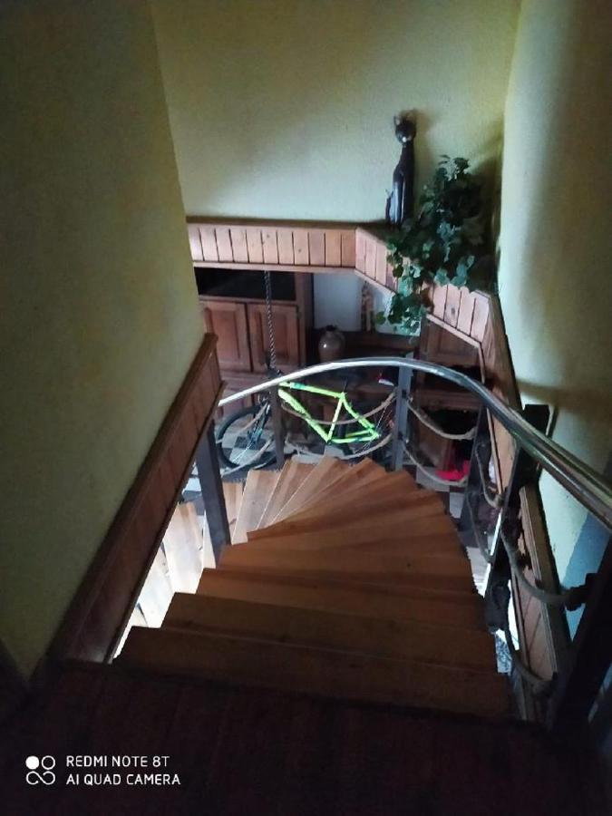 Penzion U Lipy Decin Buitenkant foto