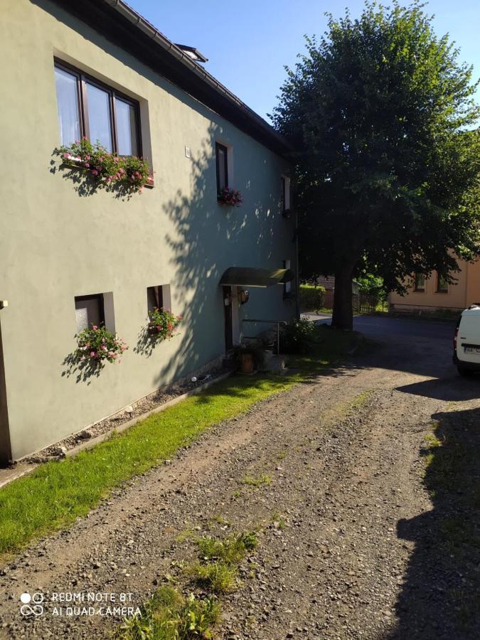 Penzion U Lipy Decin Buitenkant foto