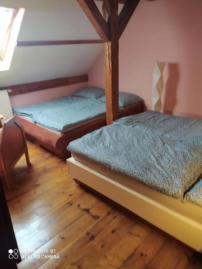 Penzion U Lipy Decin Buitenkant foto